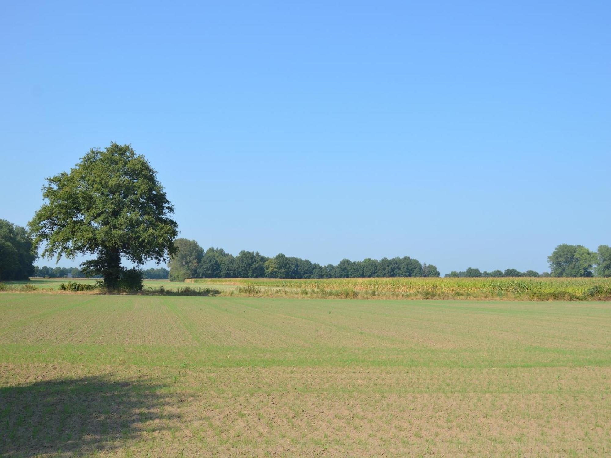 Authentic Holiday Home With View Geesteren  Buitenkant foto